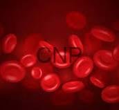 blood - Center News Network