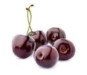 Cluster of four glossy dark red cherries with green stems on a white background.