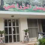 Front of a small building with a large Arabic banner featuring portraits, glass doors, and potted palms in front.