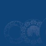 CNP logo on a dark blue background featuring decorative circular patterns.
