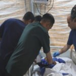 Medical team performing an emergency procedure at a hospital bed inside a tent-like field setup, with gloves and masks on.