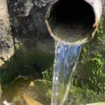 Water pours from a round concrete pipe into a mossy, algae-covered wall with a small pool forming below.