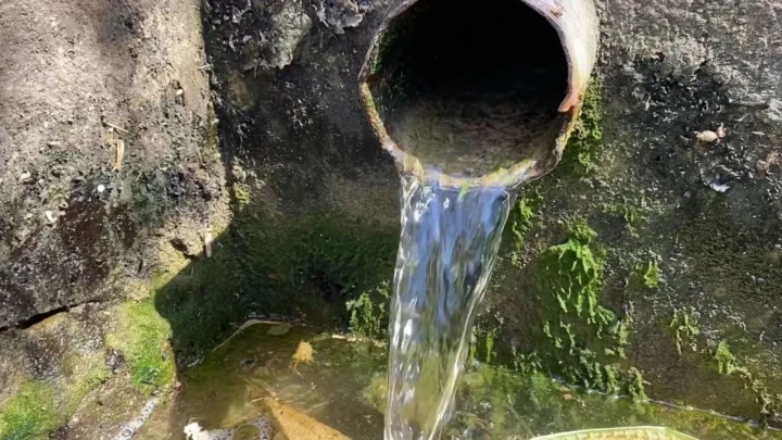 - Center News Network Water pours from a round concrete pipe into a mossy, algae-covered wall with a small pool forming below.