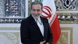 araaji - Center News Network Man in a dark suit standing indoors beside the Iranian flag, smiling, with ornate wall decor in the background.