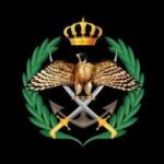 Imperial-style emblem with a crowned falcon, two crossed swords, and a green laurel wreath on a black background.