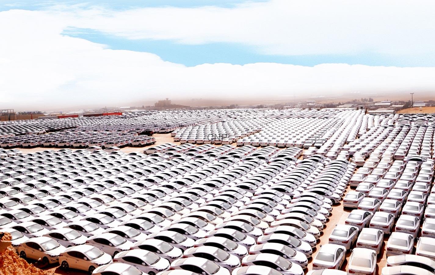 Thousands of white cars lined up in neat rows across a desert parking lot, stretching to the horizon.