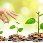 Hands nurture small plants that sprout from coins, symbolizing growth and investment