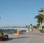 Seafront promenade with statues, palm trees, and people walking along a sunny boardwalk by the ocean; blue sky and water on the left, with a CNP watermark across the center.