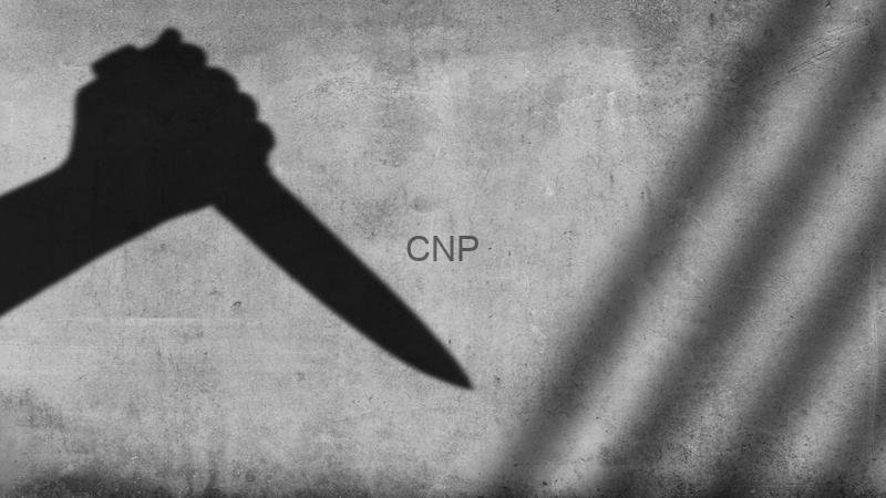 killer - Center News Network Silhouette of a hand holding a knife raised in the air, cast as a shadow on a textured wall, with the letters CNP centered in the image