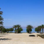 Palm-tree lined promenade along a calm blue body of water, with benches and lamp posts on a paved quay under a clear sky.