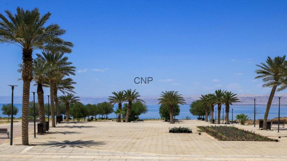 Palm-tree lined promenade along a calm blue body of water, with benches and lamp posts on a paved quay under a clear sky.