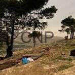 you - Center News Network Person resting on a sunlit rocky hillside among trees with a blue water bottle nearby.