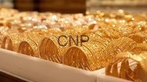 - Center News Network Row of gold bullion coins arranged in a tray, with a CNP watermark visible on some coins.