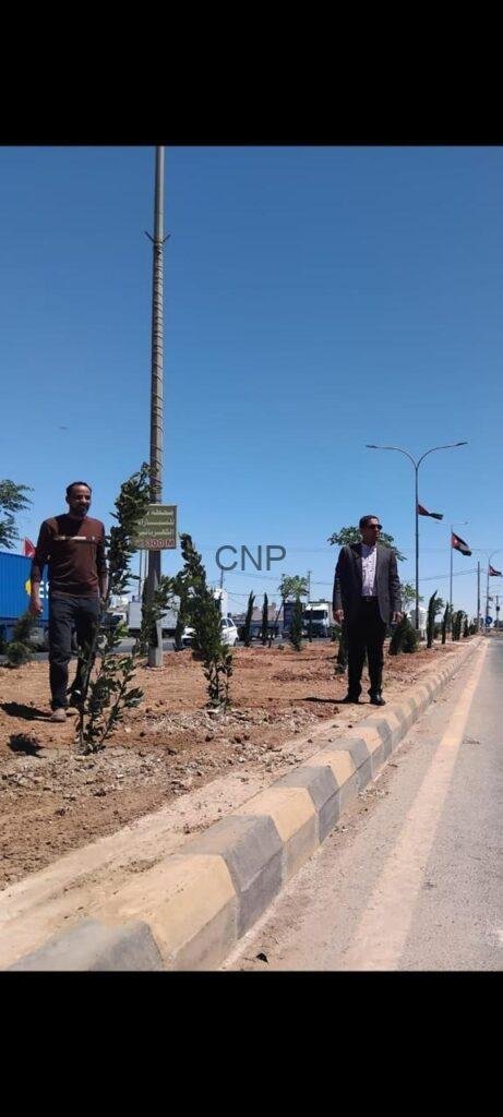 hos3 - Center News Network Two men stand on a landscaped median beside a road on a sunny day, with small trees and a street sign nearby.