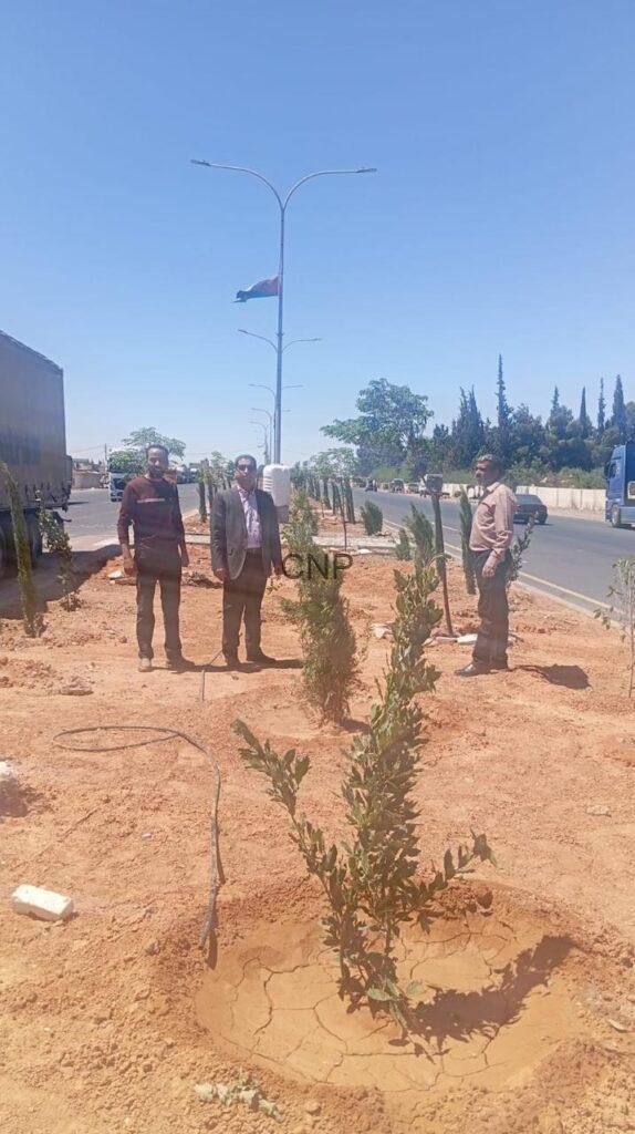hos4 - Center News Network Three men stand beside young saplings planted along a highway on a sunny day with a flag on a streetlight in the background.