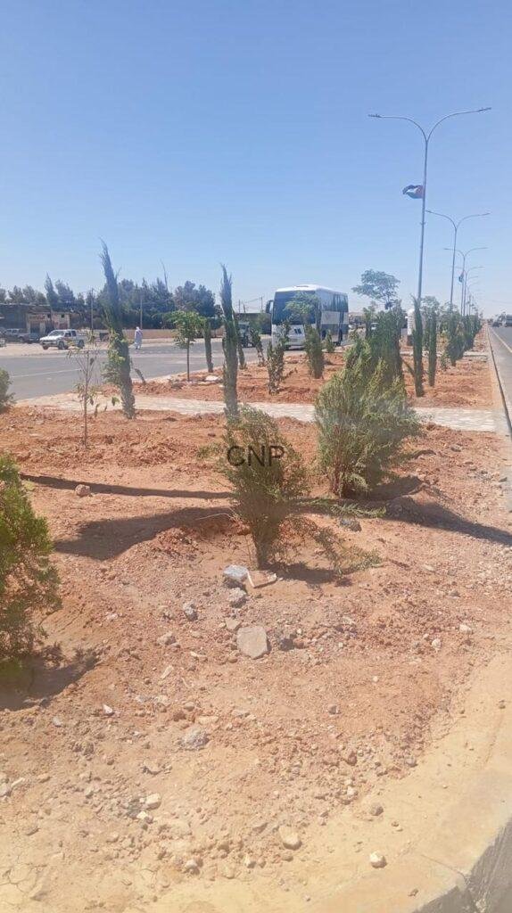 hos5 - Center News Network Newly planted shrubs along a roadside median with bare red soil and a blue sky; a bus is visible in the background on the road.