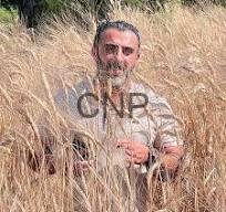 Man standing in a tall golden wheat field, wearing a light-colored shirt and looking toward the camera.
