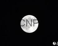 Moon in a dark night sky with the letters 'CNP' overlaid on the lunar disk, appearing as a watermark